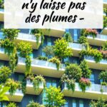 Une illustration représentant l'investissement en Pinel et ses avantages