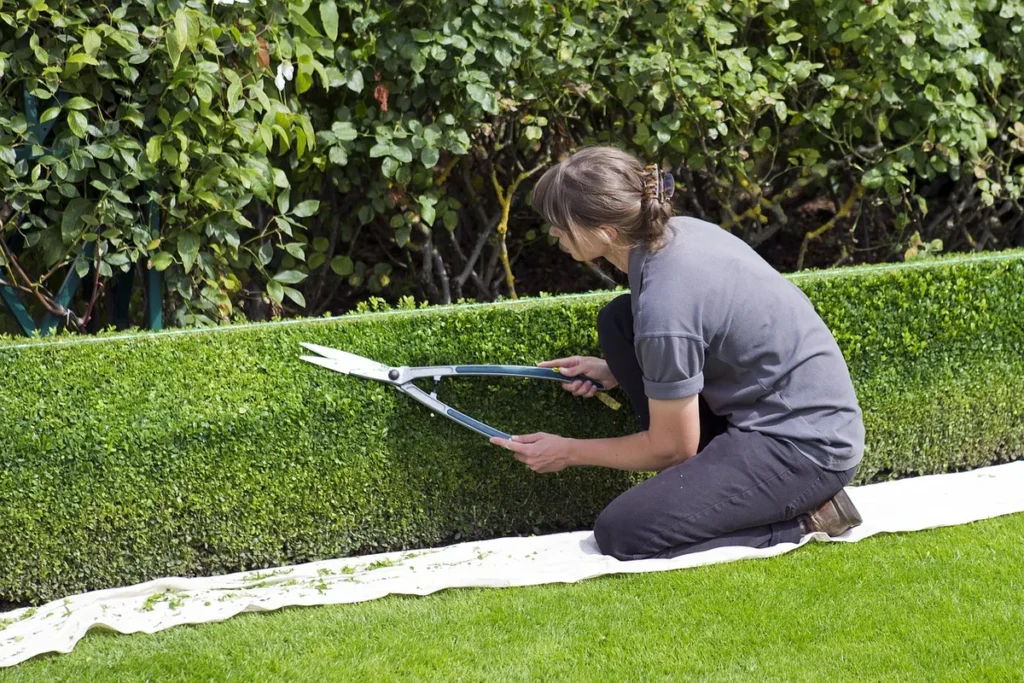Garden Gardivo 120 taille-haie en action dans un jardin