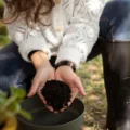 Label Ecorem Habitat lors d’une rénovation écologique de maison